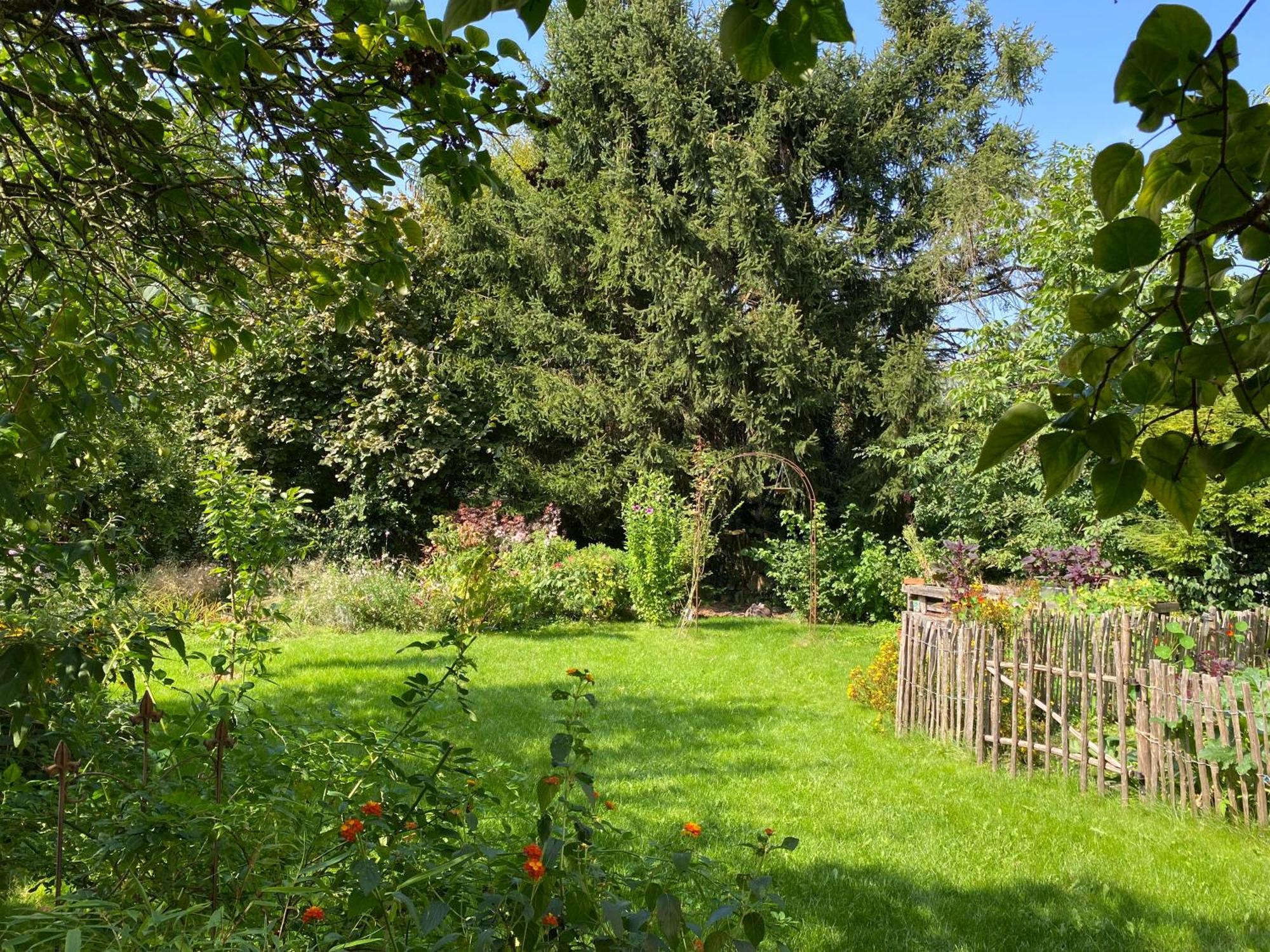 Robins Nest Appartement Detmold Buitenkant foto